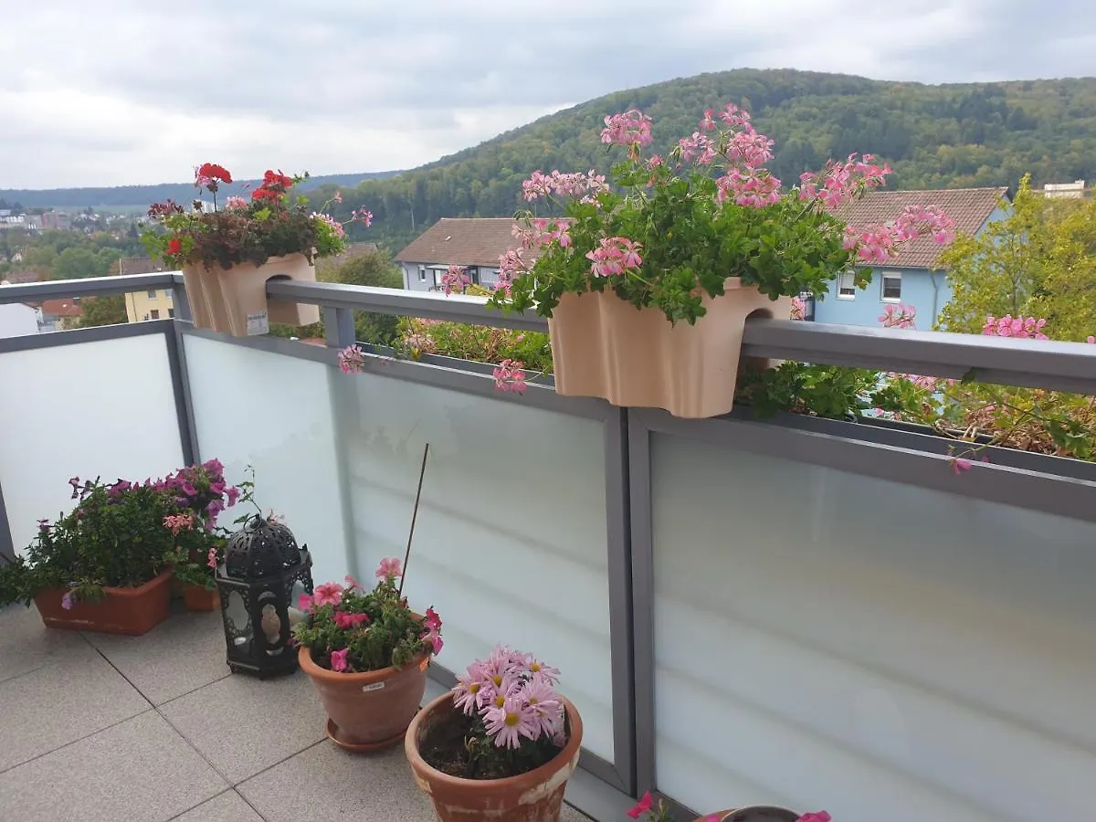 Ferienwohnung Berg View Bad Kissingen Apartment Mit 3 Schlafzimmern Germany