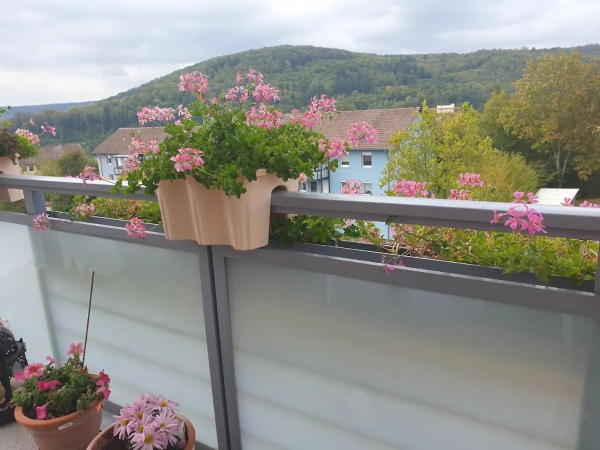 Ferienwohnung Berg View Bad Kissingen Apartment Mit 3 Schlafzimmern 0*,  Tyskland